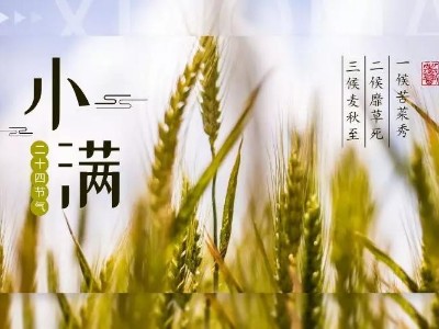 520，給您“滿”心誠意